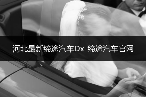 河北最新缔途汽车Dx-缔途汽车官网