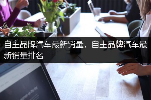 自主品牌汽车最新销量，自主品牌汽车最新销量排名